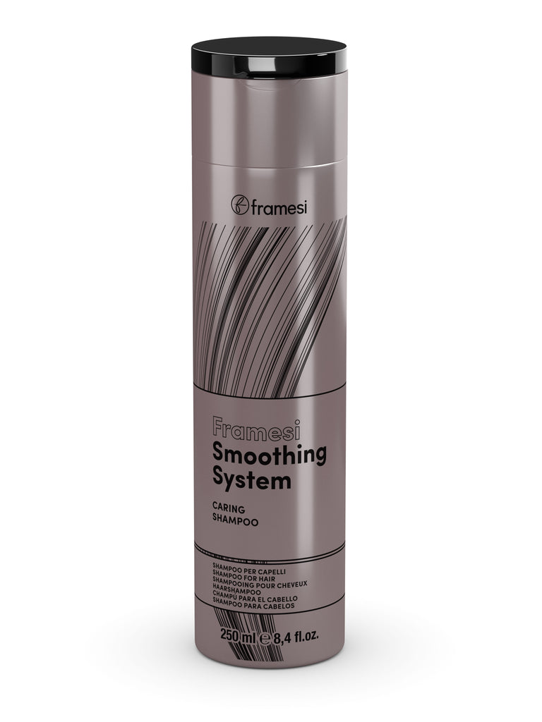 Framesi smoothing shop system price